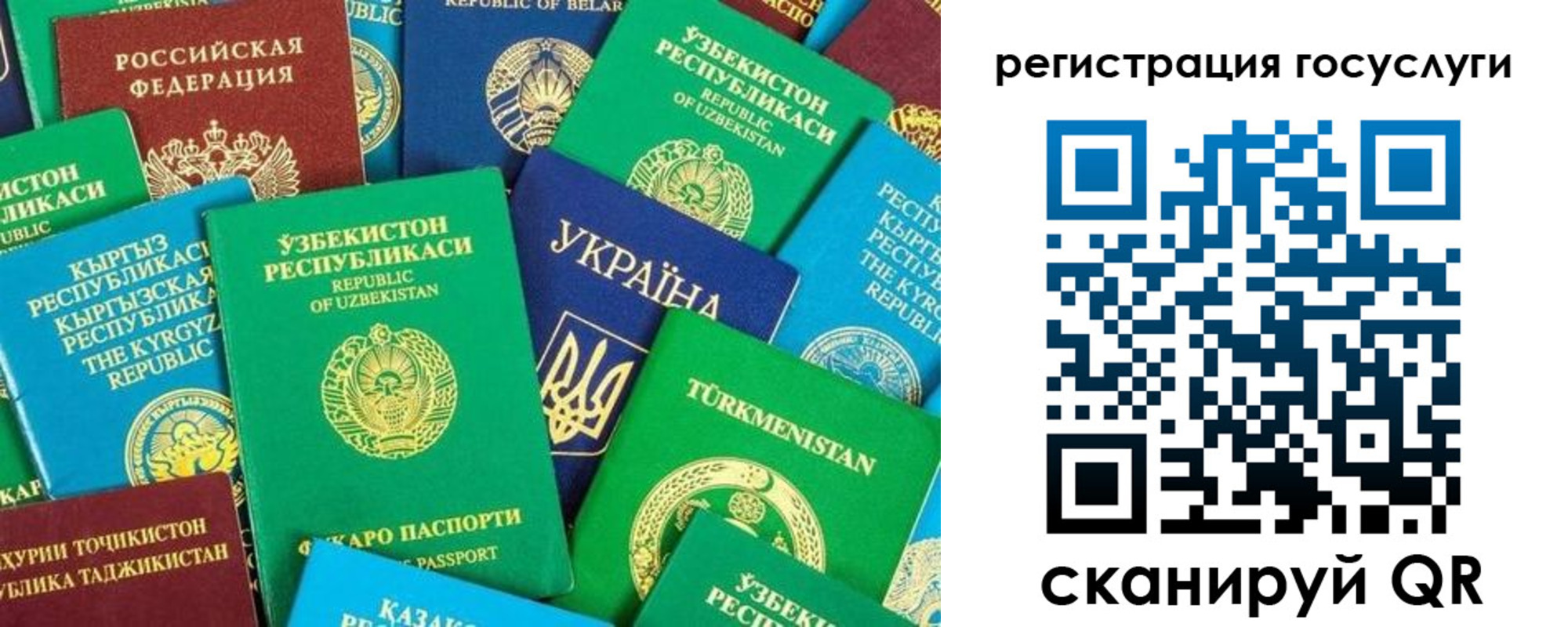временная регистрация купить в Железногорске